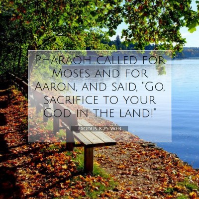 Picture 07 - Exodus 8:25 WEB - Pharaoh called for Moses and for Aaron, and said, - Bible Verse Picture