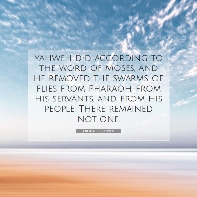 Picture 07 - Exodus 8:31 WEB - Yahweh did according to the word of Moses, and he - Bible Verse Picture