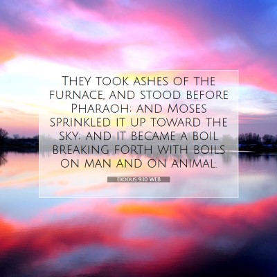 Picture 07 - Exodus 9:10 WEB - They took ashes of the furnace, and stood before - Bible Verse Picture