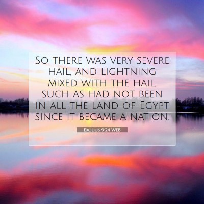 Picture 07 - Exodus 9:24 WEB - So there was very severe hail, and lightning - Bible Verse Picture