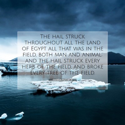 Picture 07 - Exodus 9:25 WEB - The hail struck throughout all the land of Egypt - Bible Verse Picture