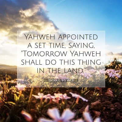 Picture 07 - Exodus 9:5 WEB - Yahweh appointed a set time, saying, 