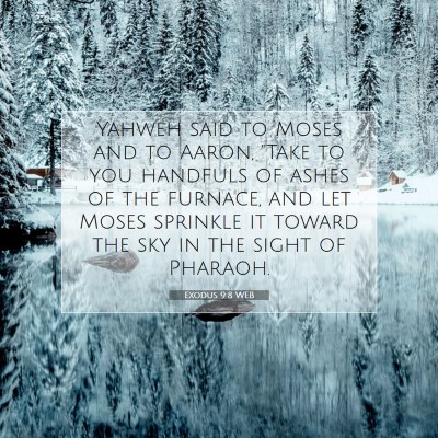 Picture 07 - Exodus 9:8 WEB - Yahweh said to Moses and to Aaron, 