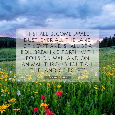Picture 07 - Exodus 9:9 WEB - It shall become small dust over all the land of - Bible Verse Picture