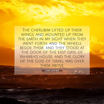 Picture 07 - Ezekiel 10:19 WEB - The cherubim lifted up their wings, and mounted - Bible Verse Picture