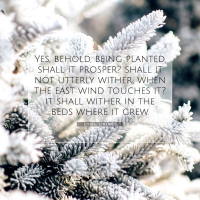 Picture 07 - Ezekiel 17:10 WEB - Yes, behold, being planted, shall it prosper? - Bible Verse Picture