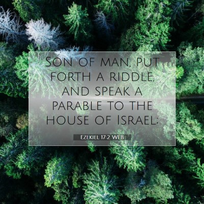 Picture 07 - Ezekiel 17:2 WEB - Son of man, put forth a riddle, and speak a - Bible Verse Picture