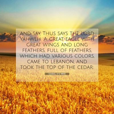 Picture 07 - Ezekiel 17:3 WEB - and say, Thus says the Lord Yahweh: A great eagle - Bible Verse Picture