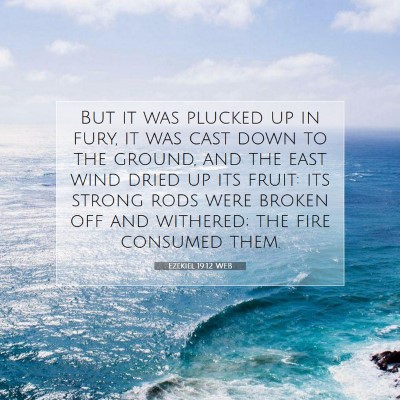 Picture 07 - Ezekiel 19:12 WEB - But it was plucked up in fury, it was cast down - Bible Verse Picture