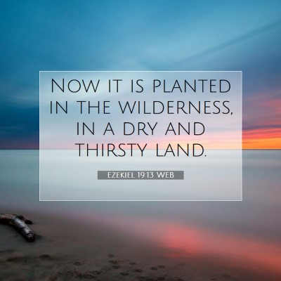 Picture 07 - Ezekiel 19:13 WEB - Now it is planted in the wilderness, in a dry and - Bible Verse Picture