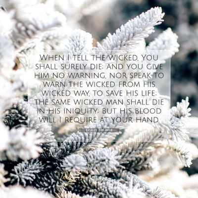 Picture 07 - Ezekiel 3:18 WEB - When I tell the wicked, You shall surely die; and - Bible Verse Picture