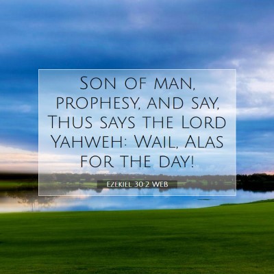 Picture 07 - Ezekiel 30:2 WEB - Son of man, prophesy, and say, Thus says the Lord - Bible Verse Picture