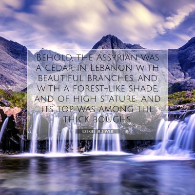 Picture 07 - Ezekiel 31:3 WEB - Behold, the Assyrian was a cedar in Lebanon with - Bible Verse Picture