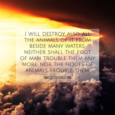 Picture 07 - Ezekiel 32:13 WEB - I will destroy also all the animals of it from - Bible Verse Picture