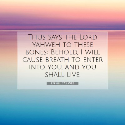 Picture 07 - Ezekiel 37:5 WEB - Thus says the Lord Yahweh to these bones: Behold, - Bible Verse Picture