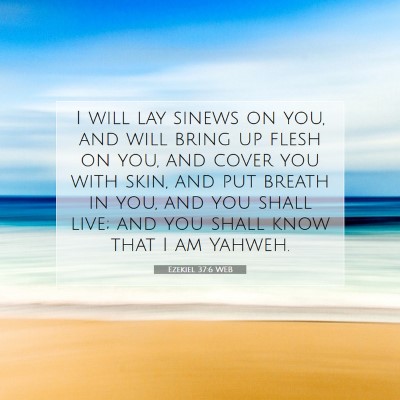 Picture 07 - Ezekiel 37:6 WEB - I will lay sinews on you, and will bring up flesh - Bible Verse Picture