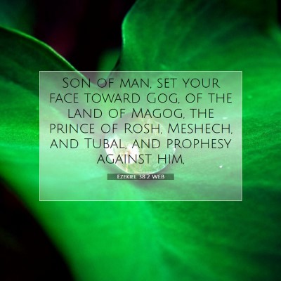 Picture 07 - Ezekiel 38:2 WEB - Son of man, set your face toward Gog, of the land - Bible Verse Picture