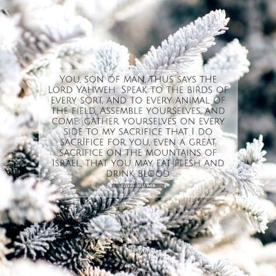 Picture 07 - Ezekiel 39:17 WEB - You, son of man, thus says the Lord Yahweh: Speak - Bible Verse Picture