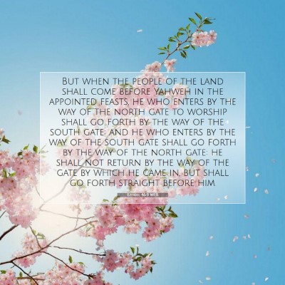 Picture 07 - Ezekiel 46:9 WEB - But when the people of the land shall come before - Bible Verse Picture