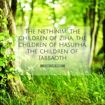 Picture 07 - Ezra 2:43 WEB - The Nethinim: the children of Ziha, the children - Bible Verse Picture
