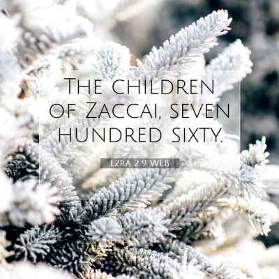 Picture 07 - Ezra 2:9 WEB - The children of Zaccai, seven hundred - Bible Verse Picture