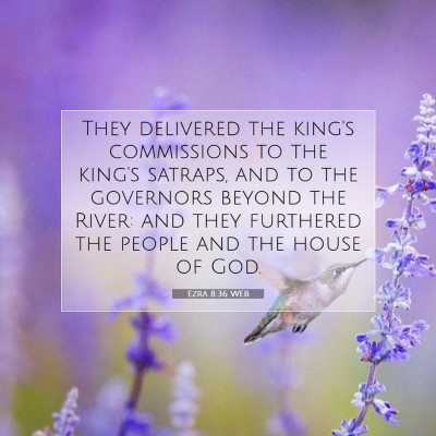 Picture 07 - Ezra 8:36 WEB - They delivered the king's commissions to the - Bible Verse Picture