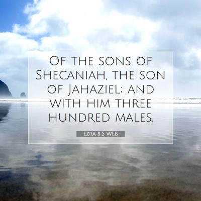 Picture 07 - Ezra 8:5 WEB - Of the sons of Shecaniah, the son of Jahaziel; - Bible Verse Picture