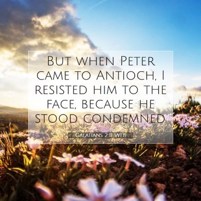 Picture 07 - Galatians 2:11 WEB - But when Peter came to Antioch, I resisted him to - Bible Verse Picture
