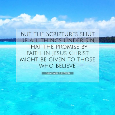 Picture 07 - Galatians 3:22 WEB - But the Scriptures shut up all things under sin, - Bible Verse Picture