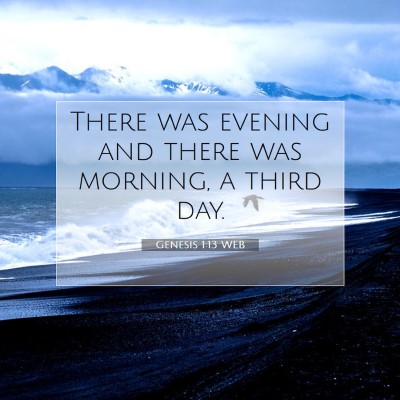 Picture 07 - Genesis 1:13 WEB - There was evening and there was morning, a third - Bible Verse Picture