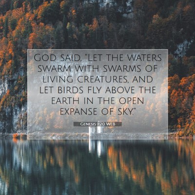 Picture 07 - Genesis 1:20 WEB - God said, 