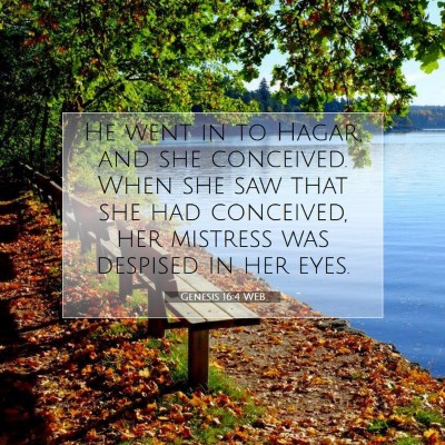 Picture 07 - Genesis 16:4 WEB - He went in to Hagar, and she conceived. When she - Bible Verse Picture
