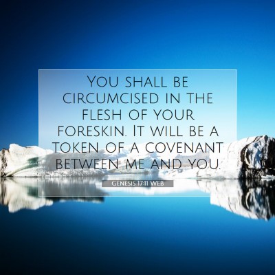 Picture 07 - Genesis 17:11 WEB - You shall be circumcised in the flesh of your - Bible Verse Picture