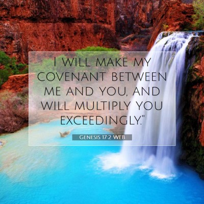 Picture 07 - Genesis 17:2 WEB - I will make my covenant between me and you, and - Bible Verse Picture