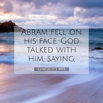 Picture 07 - Genesis 17:3 WEB - Abram fell on his face. God talked with him, - Bible Verse Picture