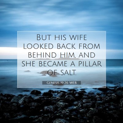 Picture 07 - Genesis 19:26 WEB - But his wife looked back from behind him, and she - Bible Verse Picture