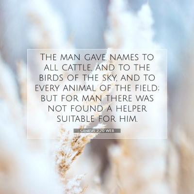 Picture 07 - Genesis 2:20 WEB - The man gave names to all cattle, and to the - Bible Verse Picture