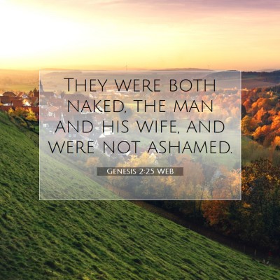 Picture 07 - Genesis 2:25 WEB - They were both naked, the man and his wife, and - Bible Verse Picture