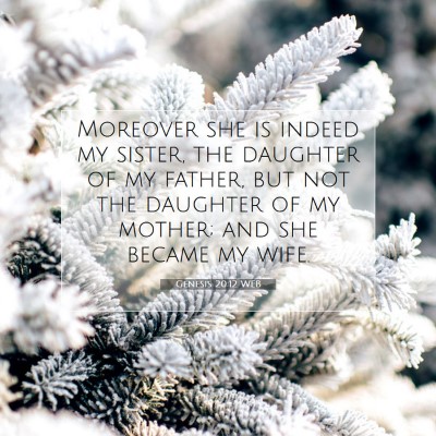 Picture 07 - Genesis 20:12 WEB - Moreover she is indeed my sister, the daughter of - Bible Verse Picture