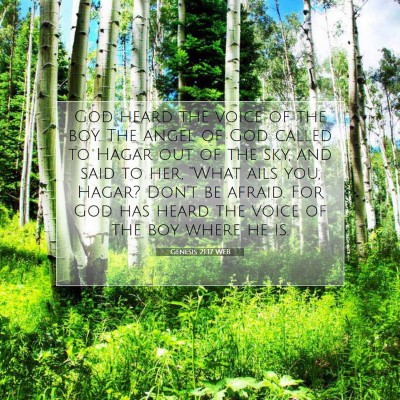 Picture 07 - Genesis 21:17 WEB - God heard the voice of the boy. The angel of God - Bible Verse Picture