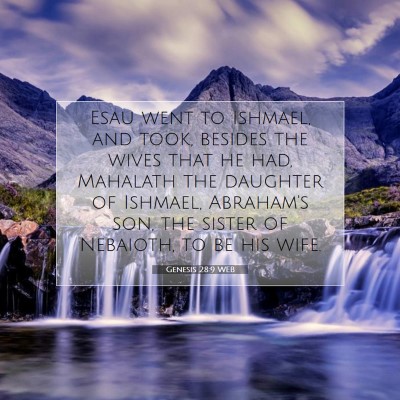 Picture 07 - Genesis 28:9 WEB - Esau went to Ishmael, and took, besides the wives - Bible Verse Picture