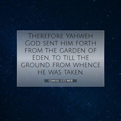 Picture 07 - Genesis 3:23 WEB - Therefore Yahweh God sent him forth from the - Bible Verse Picture