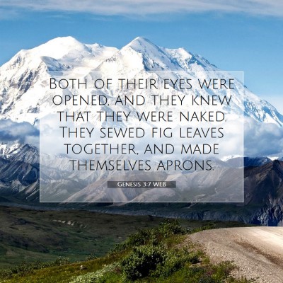 Picture 07 - Genesis 3:7 WEB - Both of their eyes were opened, and they knew - Bible Verse Picture