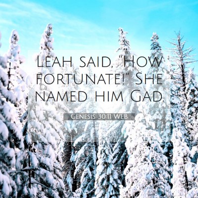 Picture 07 - Genesis 30:11 WEB - Leah said, 