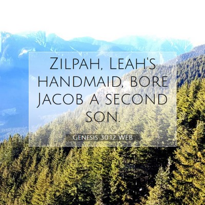 Picture 07 - Genesis 30:12 WEB - Zilpah, Leah's handmaid, bore Jacob a second - Bible Verse Picture