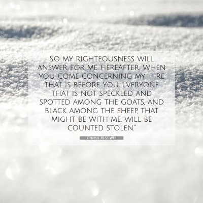 Picture 07 - Genesis 30:33 WEB - So my righteousness will answer for me hereafter, - Bible Verse Picture