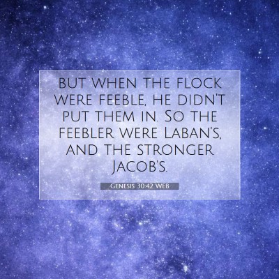 Picture 07 - Genesis 30:42 WEB - but when the flock were feeble, he didn't put - Bible Verse Picture
