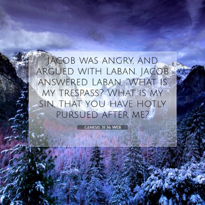 Picture 07 - Genesis 31:36 WEB - Jacob was angry, and argued with Laban. Jacob - Bible Verse Picture
