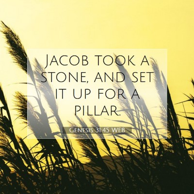 Picture 07 - Genesis 31:45 WEB - Jacob took a stone, and set it up for a - Bible Verse Picture