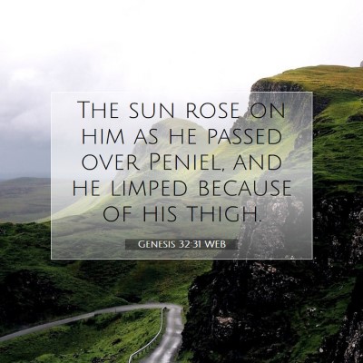 Picture 07 - Genesis 32:31 WEB - The sun rose on him as he passed over Peniel, and - Bible Verse Picture